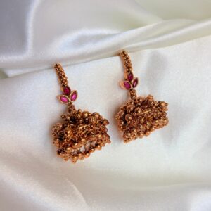 Premium -Tarini Kasu Jumkas